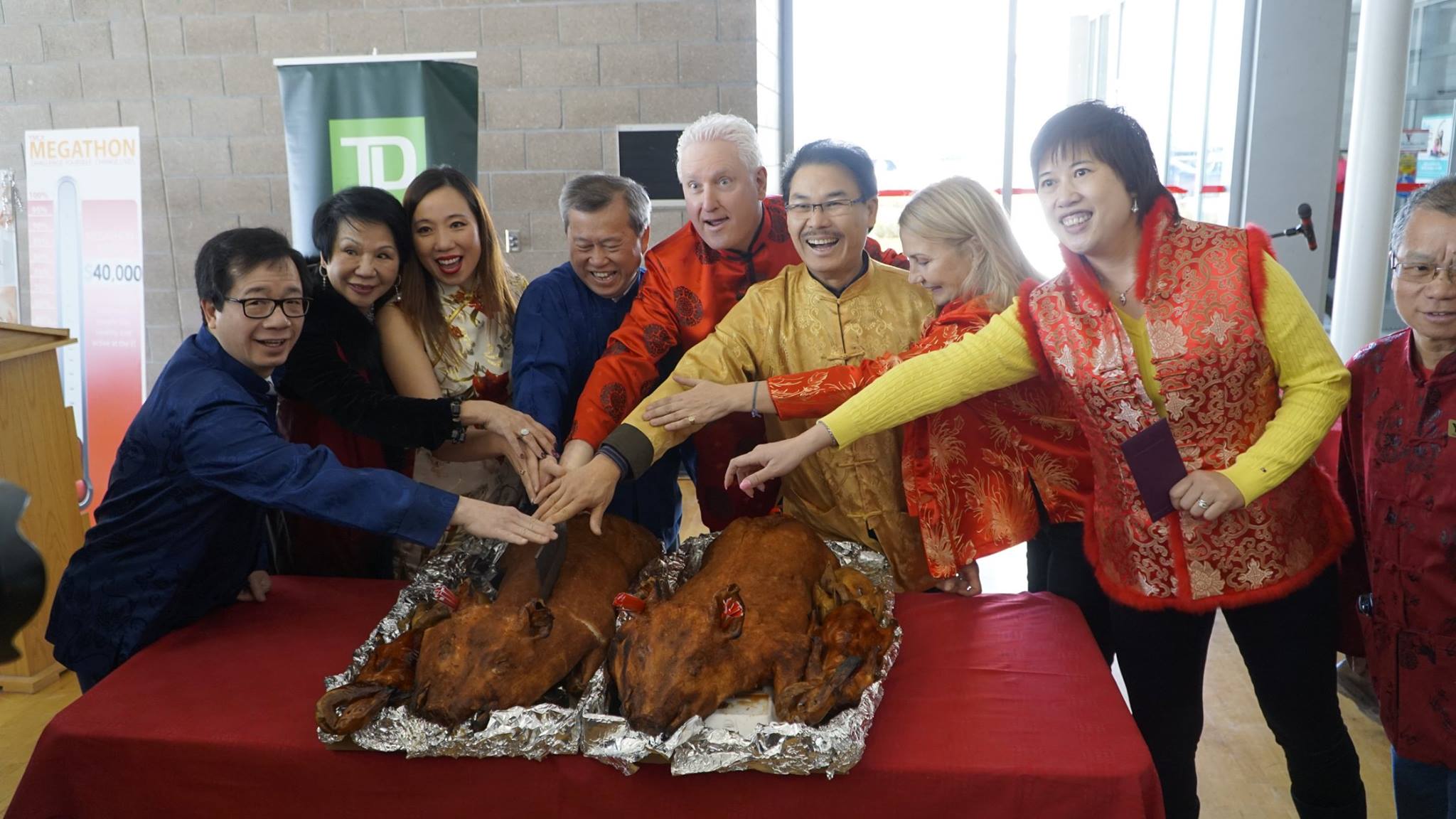 Our school donated two pigs for the Markham community! - 2017 YMCA Lunar New Year